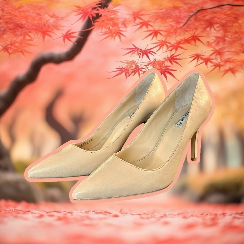 NWOT Charles David ‘Denise’ Pointed-Toe Pumps in Nude Leather Size 11